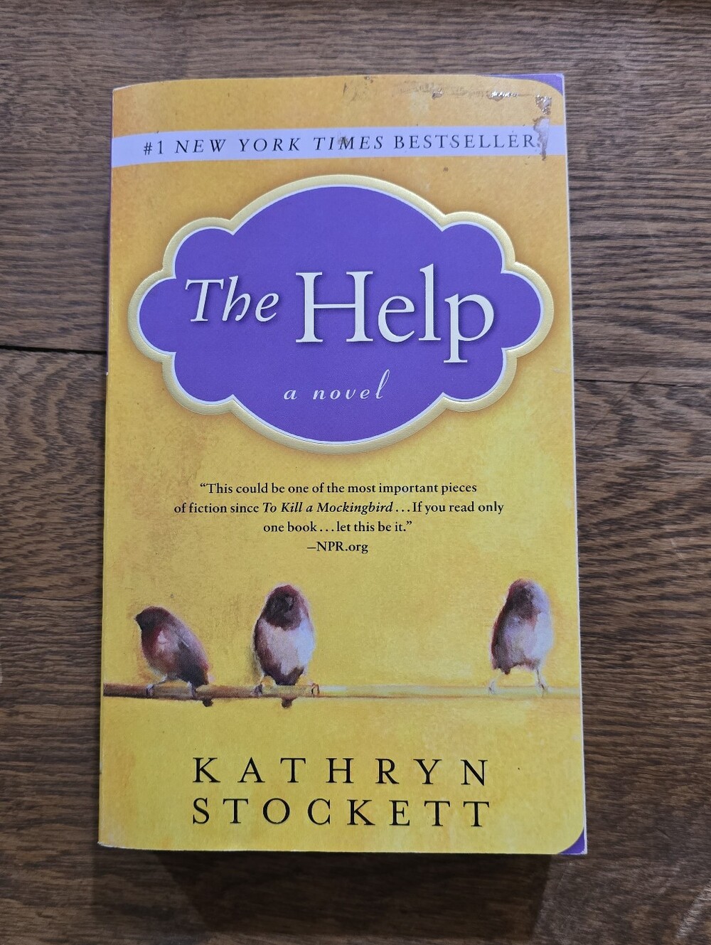 The Help - #1 New York Times Best Seller by Kathryn Stockett #823
